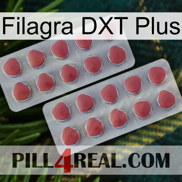Filagra DXT Plus 19